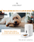 Comedero Automatico Interactivo Con Camara Linda Smart Mascotas 6 L en internet