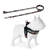 Kit de pretal y correa ajustable para perros de tamaño mediano, con diseño colorido y moderno.