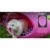 Cama Refugio Cucha Eggys Perros y Gatos M Varios Colores 80x50x50 cm - Mascotas Ya! Argentina | Online Pet Shop