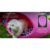 Cucha Refugio Cama Exterior Eggys Varios Colores Perros Mini - Mascotas Ya! Argentina | Online Pet Shop