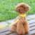 Collar PVC Silicona Resistente Impermeable Premium