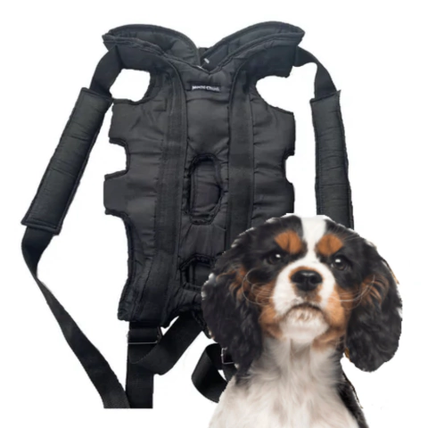 Mochila Arnes Para Perros Moto/bici Mochi Chunis Talle XXL Especial - 8 a 10 kg