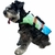 Perro usando un chaleco salvavidas flotador en colores verde y azul, diseñado para actividades acuáticas.