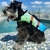Chaleco Salvavidas Flotador Pileta Playa Rio Perro M