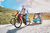 Carrito Ibiyaya Happy Pet Trailer 2.0 Paseo Bici Cochecito Mascotas 30 Kg - Mascotas Ya! Argentina | Online Pet Shop