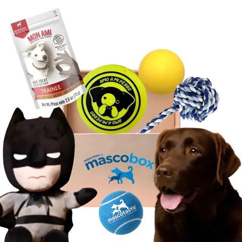 Mascobox Marvel/DC Juego y Morder Perros Medianos y Grandes