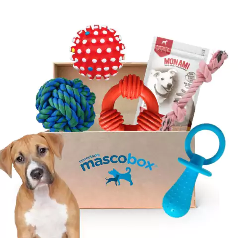 Mascobox FULL Juguetes para Perros