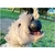 Mascobox Juguetes Nuevos Diversion Peluches Chifle - comprar online