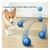 Perro Corgi jugando con pelotas interactivas azules que se mueven de forma irregular en el suelo.