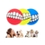 Mascobox Nueva Diversion Total Perros - comprar online