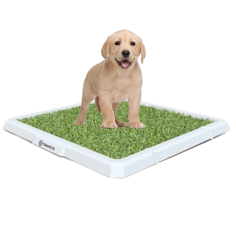 Alfombra Bandeja Sanitaria Tonipets Hembra