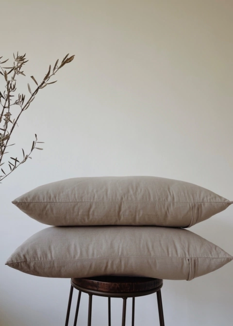 SET 2 ALMOHADONES AVEIRO - ELEFANTE