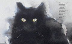 Un día, un gato - Juan Lima - comprar online