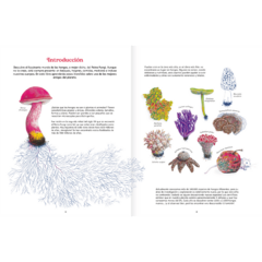 Reino Fungi - Octavia Mosciatti y Loreto Salinas - La Livre - Librería de barrio