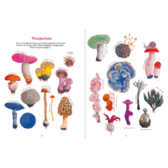 Imagen de Reino Fungi - Octavia Mosciatti y Loreto Salinas