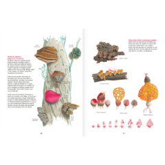 Reino Fungi - Octavia Mosciatti y Loreto Salinas