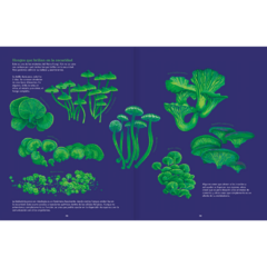 Reino Fungi - Octavia Mosciatti y Loreto Salinas - La Livre - Librería de barrio