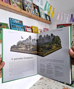 Imagen de Dinosaurium. ED JUNIOR