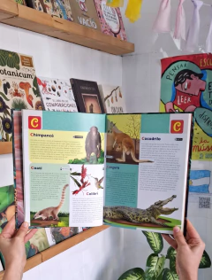 MAS BICHOS QUE NO SE QUÉ - Silvia Schujer, Liza Porcelli Piussi y Rodrigo Folgueira - La Livre - El oficio de las palabras