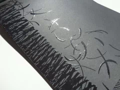 El libro negro de los colores - Menena Cottin y Rosana Faría