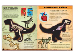 Miremos dentro del T Rex - Catapulta en internet