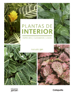 Plantas de interior - Lucía Cané
