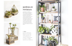 Plantas de interior - Lucía Cané - comprar online