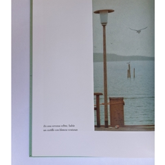 El coleccionista de momentos - Quint Buchholz en internet