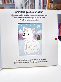 Animales. Mi pequeño mundo - Roger Priddy y Lizzy Doyle - tienda online