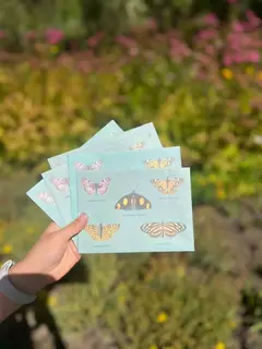 Imagen de Kit de papelería nativas