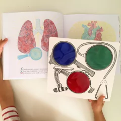 ¿Qué se esconde dentro del cuerpo humano? - Aina Bestard en internet