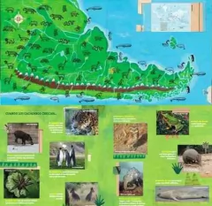 Cachorros del fin del mundo en internet