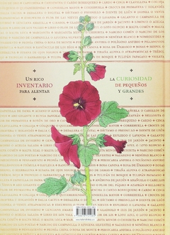 Inventario ilustrado de flores - Aladjidi - comprar online