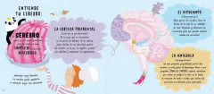 El libro de la calma - Alex Allan y Anne Wilson - comprar online