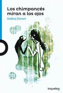 Los chimpancés miran a los ojos - Andrea Ferrari