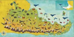 Imagen de Animales Argentinos - Paula Fernández y Loreto Salinas