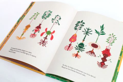 ¡A Viajar, Semillas! - Lorena Ruiz - tienda online