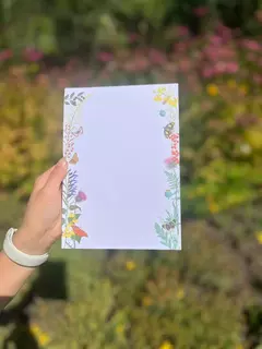 Kit de papelería nativas