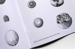 Anfibios y reptiles. Bitácora para imaginar - Loreto Salinas - comprar online