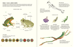 Agua y tierra, anfibios y reptiles de América - Marty Crump, Andy charrier y Loreto Salinas - tienda online