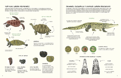 Agua y tierra, anfibios y reptiles de América - Marty Crump, Andy charrier y Loreto Salinas - La Livre - Librería de barrio