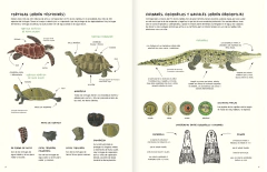 Agua y tierra, anfibios y reptiles de América - Marty Crump, Andy charrier y Loreto Salinas - La Livre - Librería de barrio