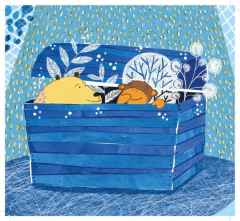 Colores - Anda Calabaza y Camila Villa