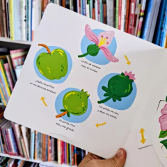 MIRAME CRECER PEQUEÑO MUNDO - tienda online