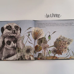 ¿Por qué las suricatas miran al cielo? - Carolina Luzón - La Livre - Librería de barrio