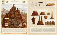Construcciones animales - Emilia Dziubak - La Livre - Librería de barrio