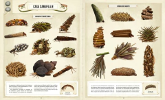 Construcciones animales - Emilia Dziubak - comprar online