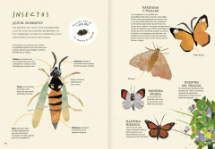 Imagen de Explora tu Mundo Natural - Ana María Pavez y Constanza Recart