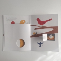 Historias de tres pajaritos - Bruno Munari - comprar online