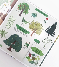 Pequeños curiosos: El libro de la naturaleza - Catapulta - La Livre - Librería de barrio